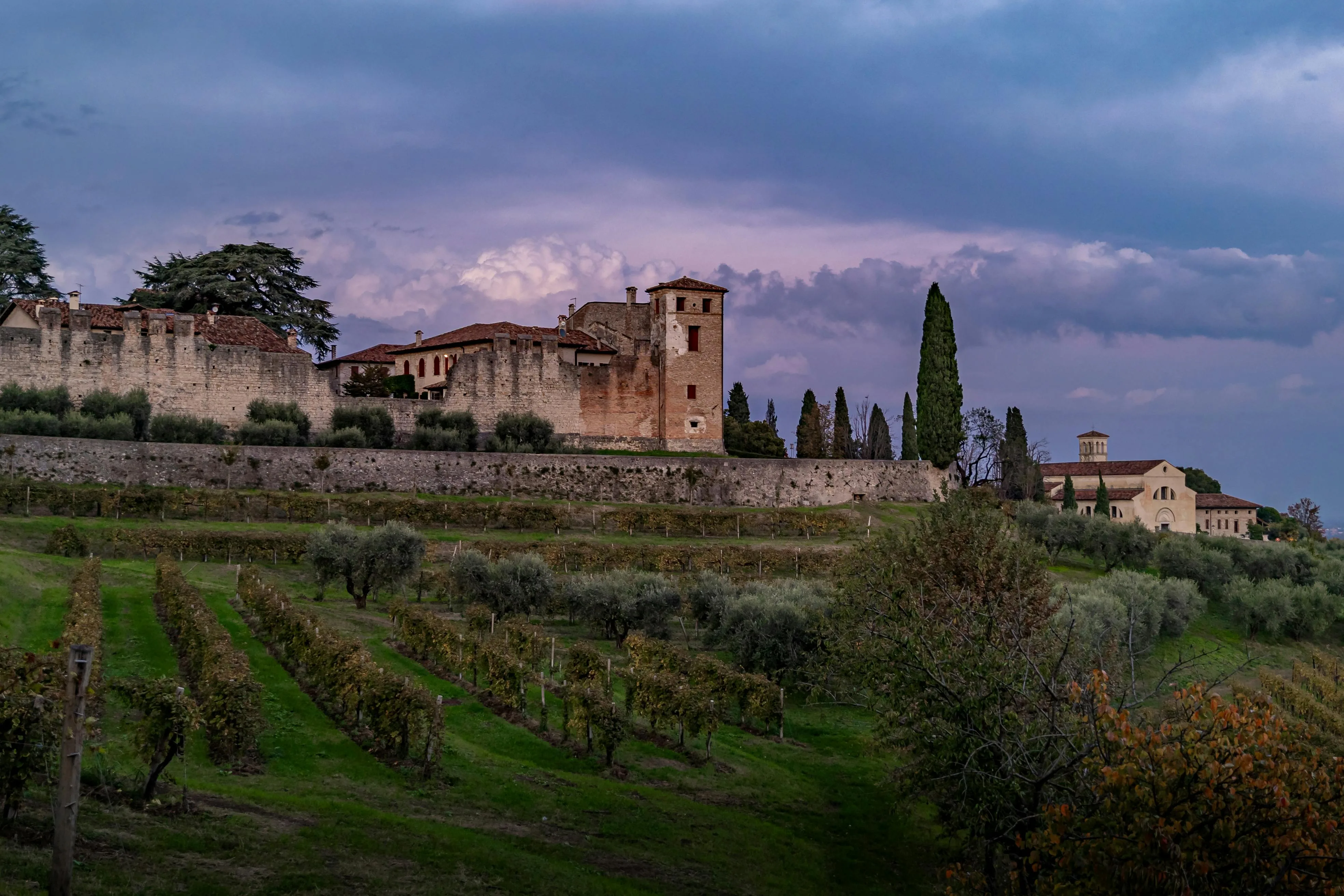 Stone castle above olive groves at dusk
